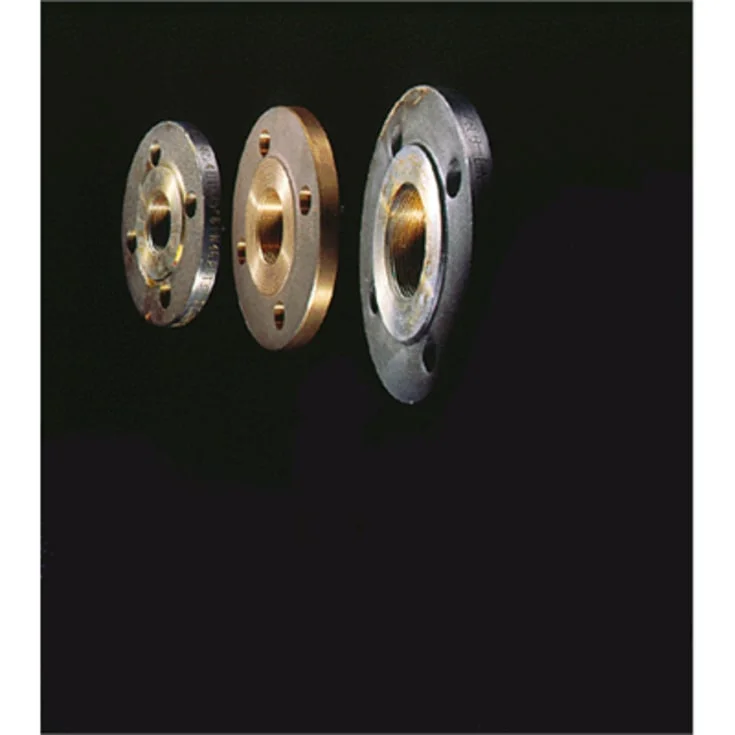Grundfos Flenser PN10 2" | 549801