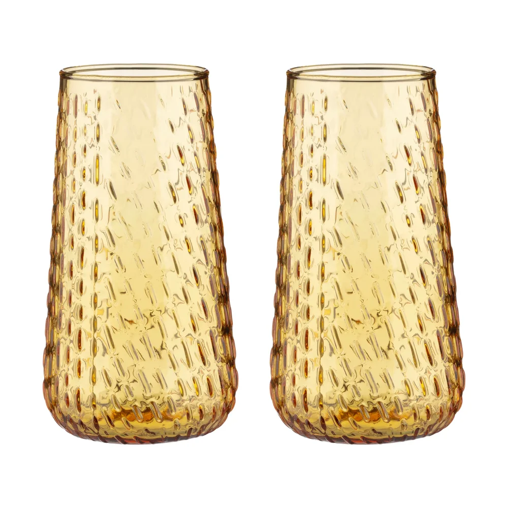 Syksy long tumbler glass 2-pakning v:4654237