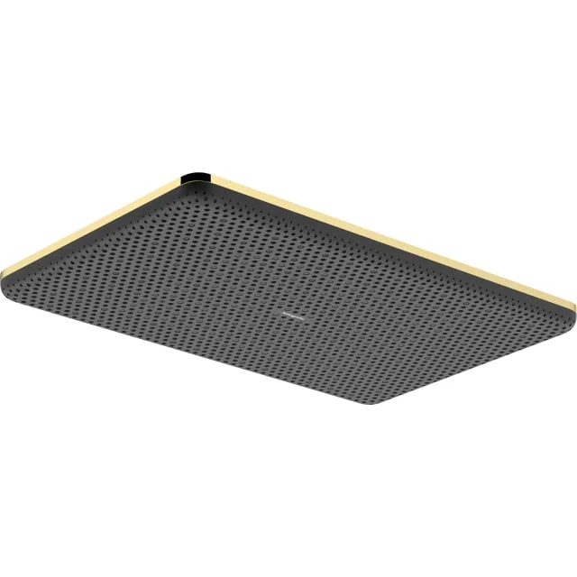 Hansgrohe Raindance Alive Q takdusj, 34,3×21,4 cm, gull | 24530990 Hansgrohe Raindance Alive Q takdusj, 34,3×21,4 cm, gull | 24530990