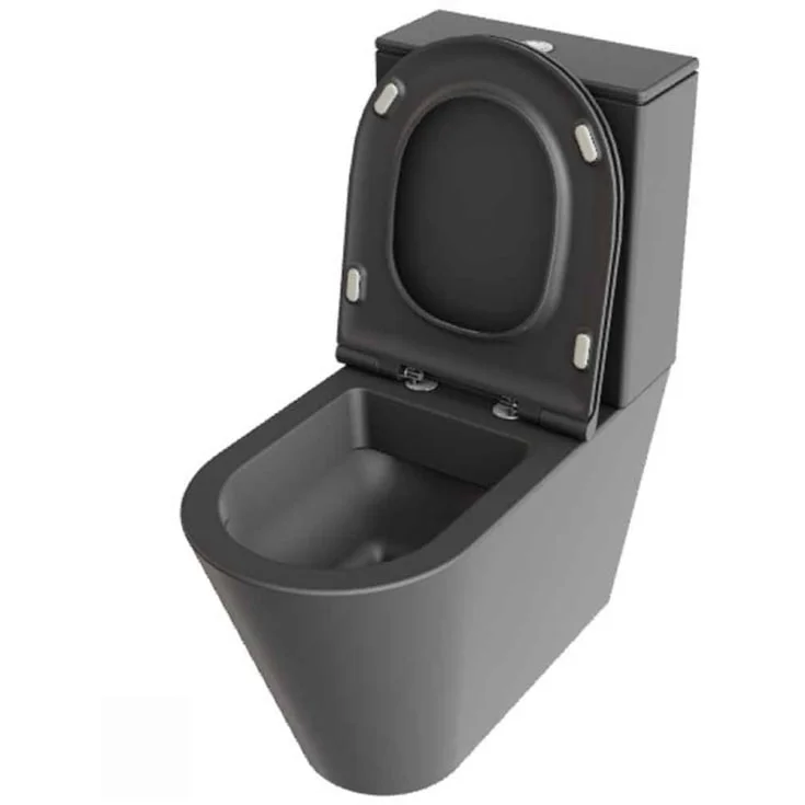 Lavabo Forma toalett, back-to-wall, uten skyllekant, matt antrasitt | 123037011